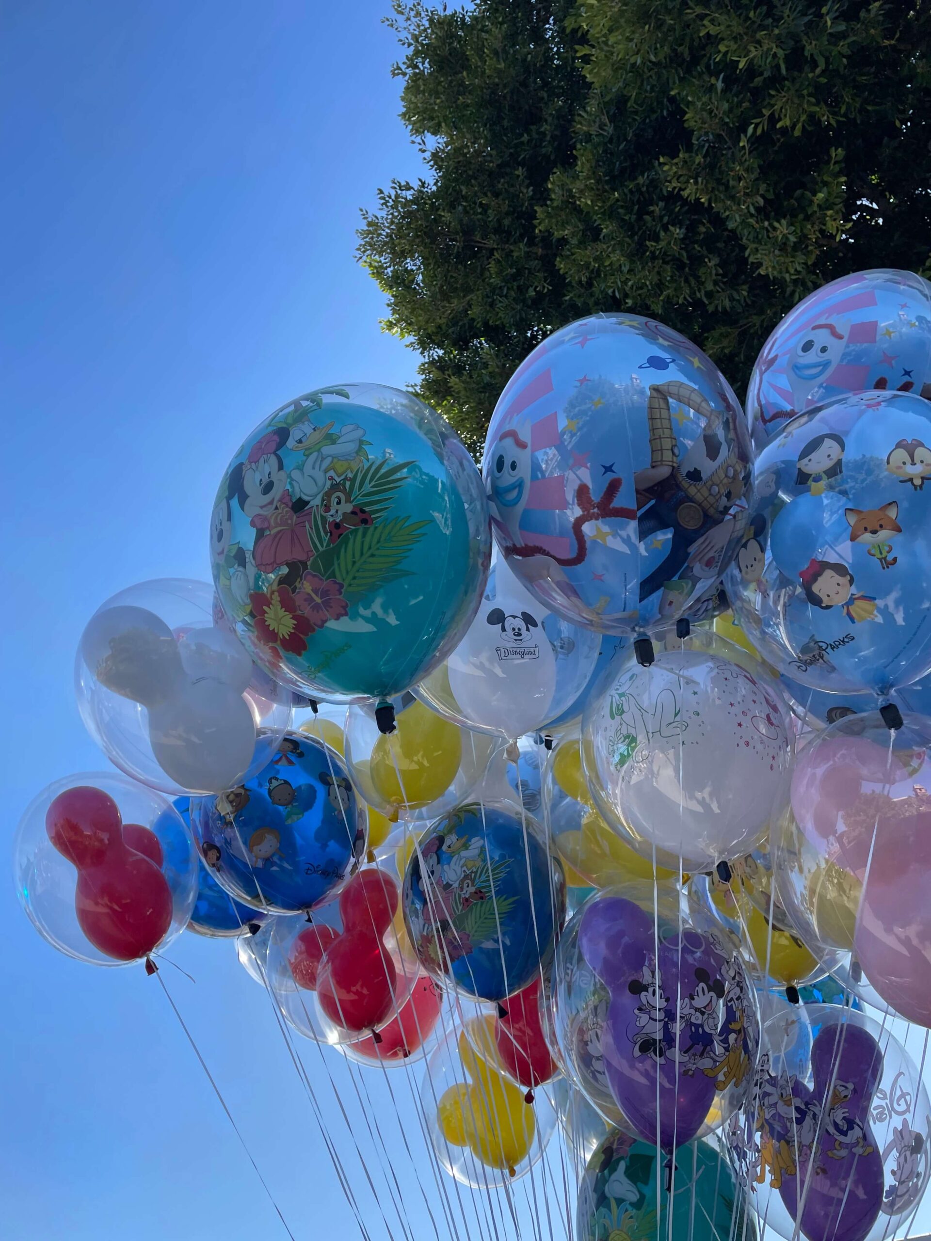 a collection of disneyland balloons against the background of the blue sky